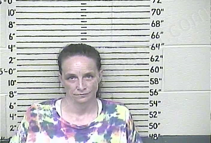 REEDY, CARRIE #, Carter County, Kentucky - 2022-07-27 18:41:00