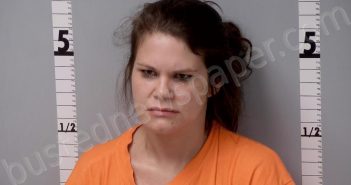 <B>STROUSE</B>, <B>BRIANNA</B> <B>LEE</B> #, Gratiot County, Michigan - 2022-07-27 22:09:00