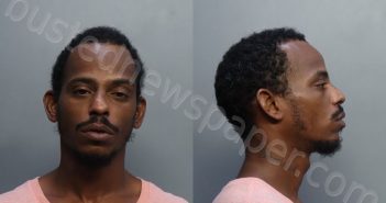 TRIZAN, BARBARO | 2022-07-28 00:13:00 Miami-Dade County, Florida Booking