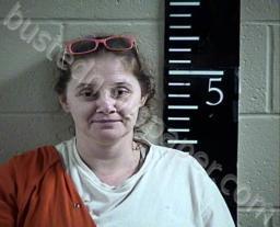 SAMANTHA WHEELER #, Chester County, Tennessee - 2022-07-28 14:41:00