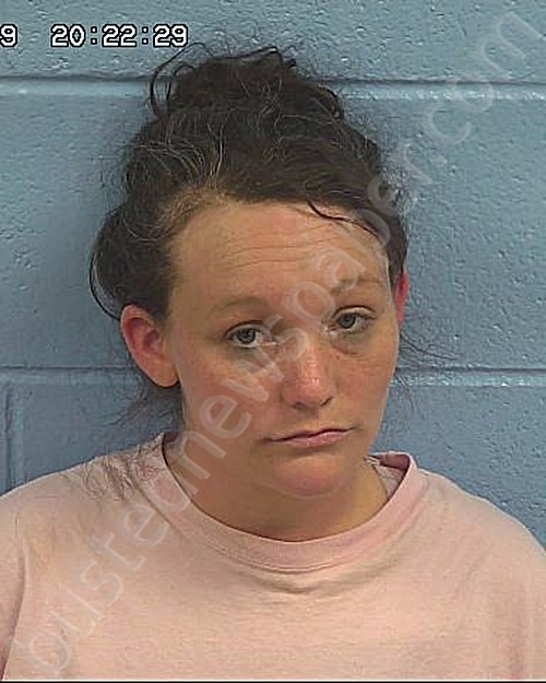 JOHNSON, AMBER NICOLE #, Etowah County, Alabama - 2022-07-28 23:23:39