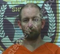 STEPHEN POWELL JR | 2022-07-29 22:28:00 Polk County, Tennessee Booking