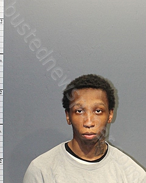 WARD, NIGEL RASHID #, Western Tidewater, Virginia - 2022-07-29 15:49:00