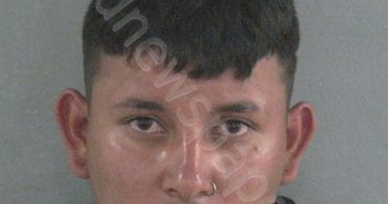 <B>ZAVALA</B>, <B>ANGEL</B> ELIAN #, Sumter County, Florida - 2022-07-30 03:28:00