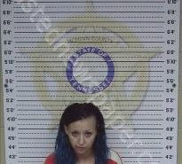 ALYSSA NATOLA | 2022-07-30 15:15:00 Mcminn County, Tennessee Booking