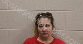 SARA E DAVIS | 2022-07-31 Andrew County, Missouri Booking