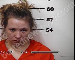 BRITTANY MONK #, Hawkins County, Tennessee - 2022-07-31 13:52:00