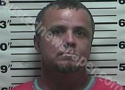 MICHAEL RONEY | 2022-07-31 22:23:00 Weakley County, Tennessee Booking