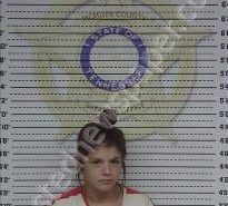 TRISHIA AXLEY | 2022-07-31 22:11:00 Mcminn County, Tennessee Booking