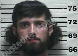 NATHANYL SAWYER | 2022-07-31 22:23:00 Weakley County, Tennessee Booking