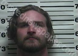 TAYLOR JOBE | 2022-07-31 22:23:00 Weakley County, Tennessee Booking