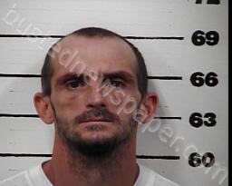 RICKY DAVIS #, Hawkins County, Tennessee - 2022-08-01 15:10:00