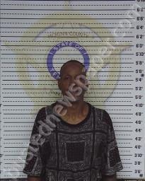 DANNY WILLIAMS #, Mcminn County, Tennessee - 2022-08-01 23:36:00