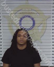 JERAMY SCOTT #, Mcminn County, Tennessee - 2022-08-01 23:36:00