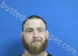 TREVOR WALTON | 2022-08-01 23:04:00 Dickson County, Tennessee Booking