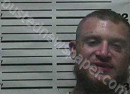 DYLAN THOMAS | 2022-08-01 23:18:00 Weakley County, Tennessee Booking