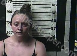 DANIELLE REED | 2022-08-02 08:00:00 Cocke County, Tennessee Booking