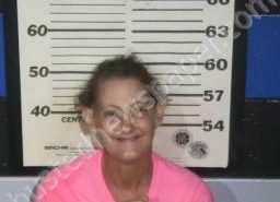 LISA RICK | 2022-08-02 16:14:00 Henry County, Tennessee Booking