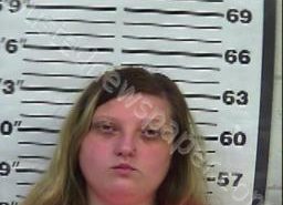 SELENA HASSELL | 2022-08-02 16:41:00 Gibson County, Tennessee Booking