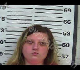 SELENA HASSELL #, Gibson County, Tennessee - 2022-08-02 16:41:00