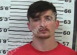 SHAWN BARNER | 2022-08-02 07:32:00 Gibson County, Tennessee Booking