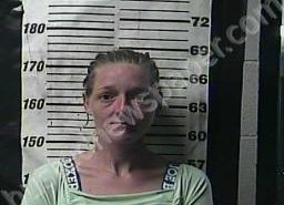 REBECCA GREEN | 2022-08-02 08:00:00 Cocke County, Tennessee Booking