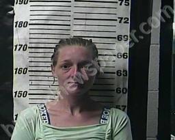 REBECCA GREEN #, Cocke County, Tennessee - 2022-08-02 08:00:00