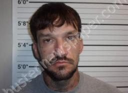 JAMES HINSON | 2022-08-02 07:45:00 Decatur County, Tennessee Booking