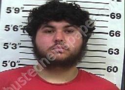 DYLAN GARCIA | 2022-08-02 16:41:00 Gibson County, Tennessee Booking
