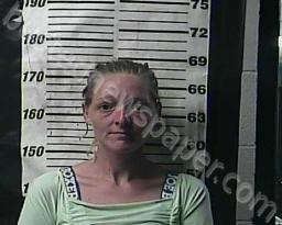 REBECCA GREEN #, Cocke County, Tennessee - 2022-08-02 16:39:00