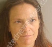 CAROLYN BROOME | 2022-08-02 07:59:00 Meigs County, Tennessee Booking