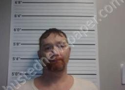 BRANDON NANCE | 2022-08-02 07:45:00 Decatur County, Tennessee Booking