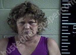 SONDRA HUSE | 2022-08-02 16:28:00 Chester County, Tennessee Booking
