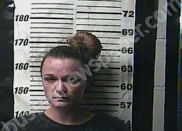 CHRISTINA COLLINS | 2022-08-02 08:00:00 Cocke County, Tennessee Booking