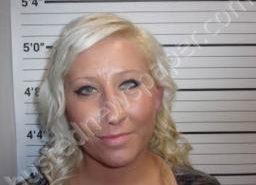 MEGAN NEWCOMB | 2022-08-02 07:45:00 Decatur County, Tennessee Booking