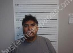 FERMIN OLIVAREZ | 2022-08-02 16:39:00 Decatur County, Tennessee Booking