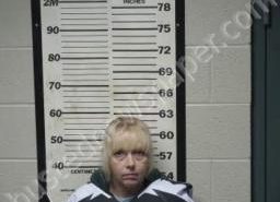 LINDA ROBERTSON | 2022-08-02 16:07:00 Carroll County, Tennessee Booking