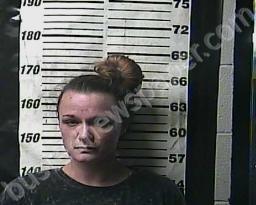 CHRISTINA COLLINS #, Cocke County, Tennessee - 2022-08-02 16:39:00