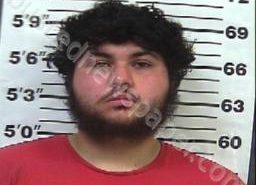 DYLAN GARCIA | 2022-08-02 07:32:00 Gibson County, Tennessee Booking