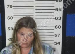 MEGAN HOLLINGSWORTH | 2022-08-02 16:14:00 Henry County, Tennessee Booking