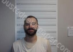 DEKOTA FLOWERS | 2022-08-02 07:45:00 Decatur County, Tennessee Booking