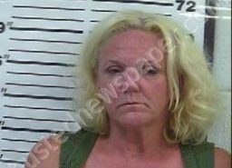 ROXANNE YOUNG | 2022-08-02 07:32:00 Gibson County, Tennessee Booking