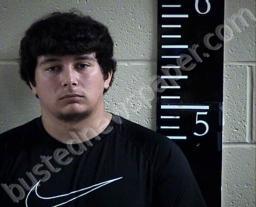 DILLON DAVIS #, Chester County, Tennessee - 2022-08-02 07:49:00