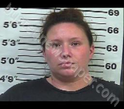 LAURA GIBSON #, Gibson County, Tennessee - 2022-08-02 16:41:00
