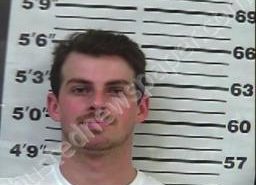 ETHAN PARKER | 2022-08-02 07:32:00 Gibson County, Tennessee Booking