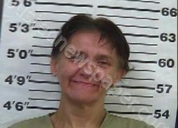 CHRISTY WILLIAMS | 2022-08-02 07:32:00 Gibson County, Tennessee Booking