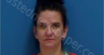 WOOD,DONNA RAE-DIXON | 2022-08-03 Catawba County, North Carolina Booking