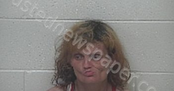 <B>MEADOWS</B> <B>RACHAEL</B> <B>M</B> #, Scioto County, Ohio - 2022-08-04