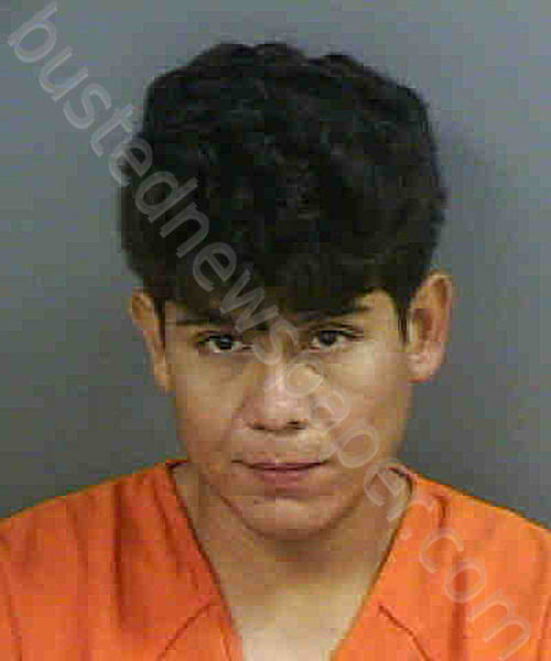 ARAUJOCASTRO,JUAN DANIEL #, Collier County, Florida - 2022-08-06