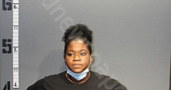 BIVINS, TASHEBA | 2022-08-06 19:47:00 Western Tidewater, Virginia Booking